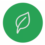 Ein weißes Blatt auf einem grünen Kreis
